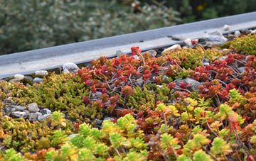 the cost of Long Thurlow green roof installation