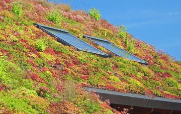 Long Thurlow living roof systems