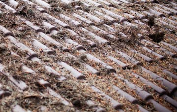Long Thurlow roof cleaning companies